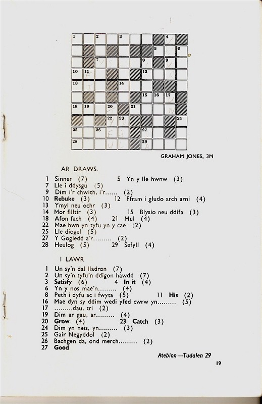 19