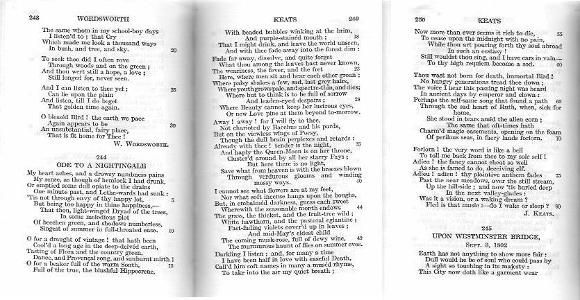 Ode to a Nightingale