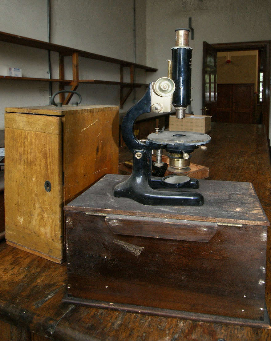 Microscope