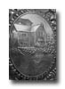 Sports Shield Detail