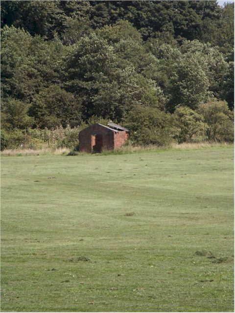 Derelict Hut