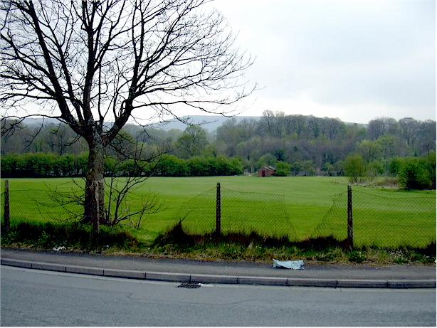sports field